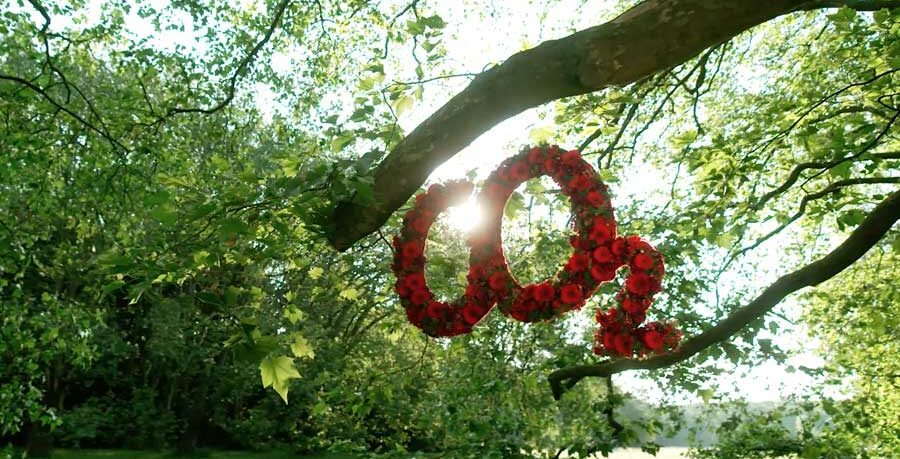 Ecoterra CO2 Wald